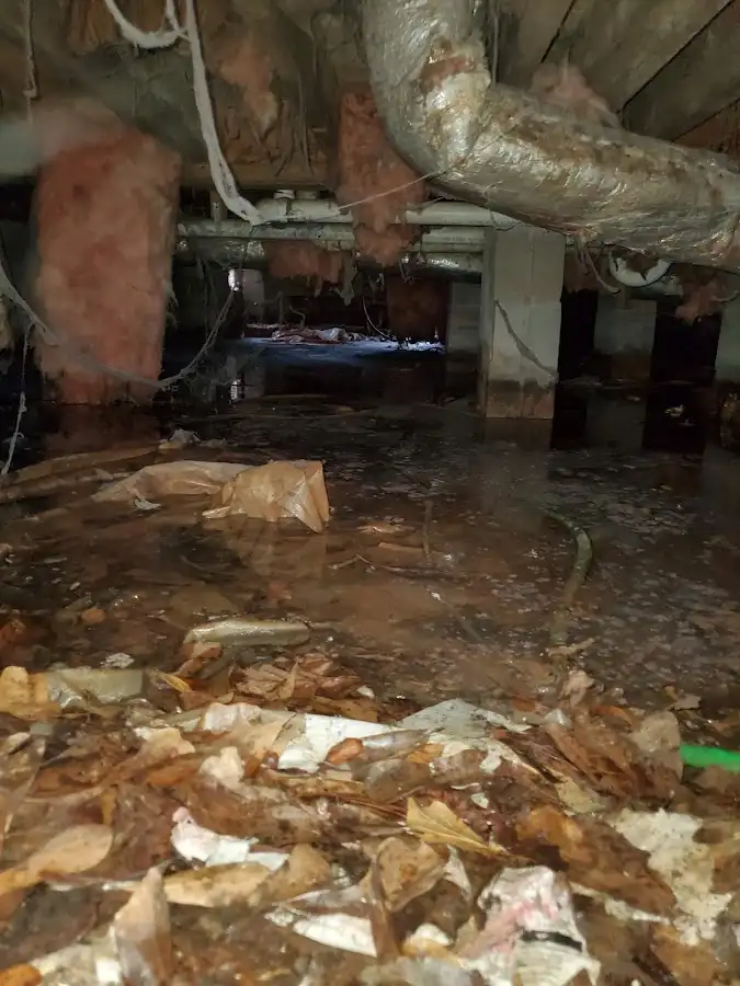 Crawl space flood assessment for Commercial Water Damage Restoration in Chatham